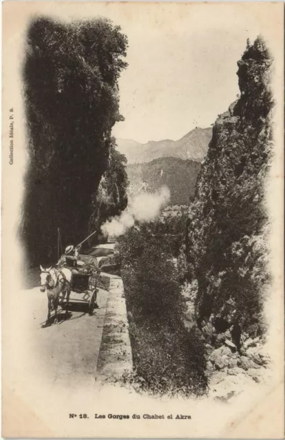 CPA AK Les Gorges du Chabet-el-Akra ALGERIE (1144987)