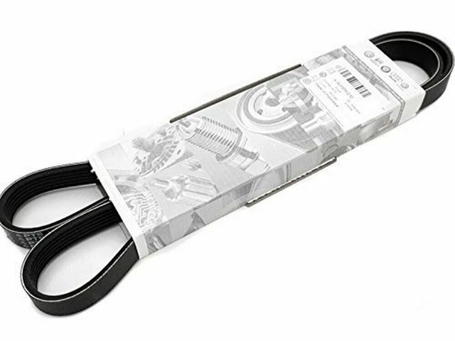 Courroie Serpentine VW 03L903137T Authentique