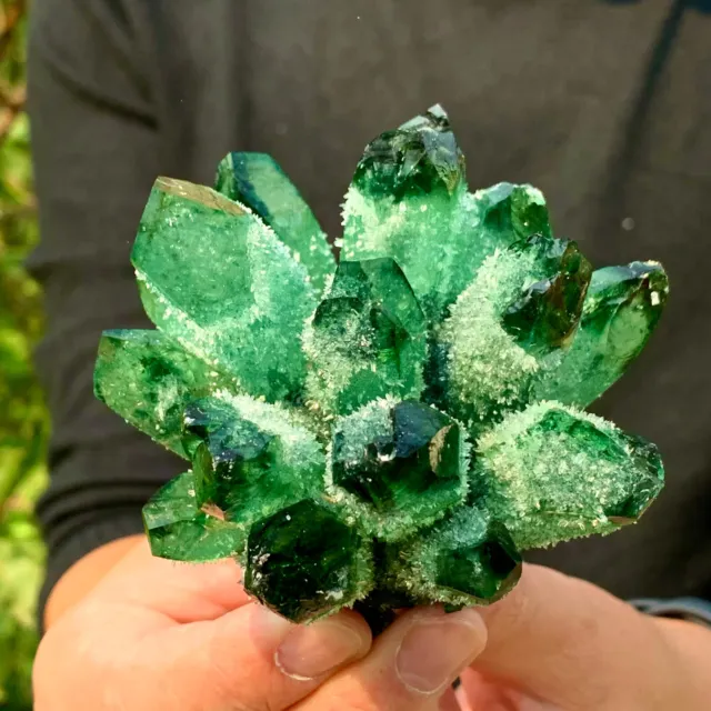 279g New Find Green Phantom Quartz Crystal Cluster Mineral Specimen Healing