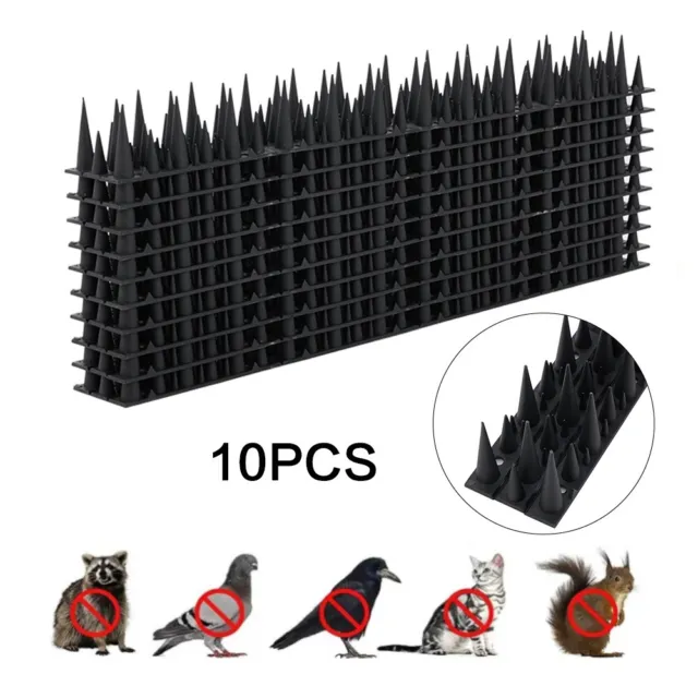 4M Wall Fence Top Spikes Garden Security Bird Cat Repellent Burglar Anti-Climb