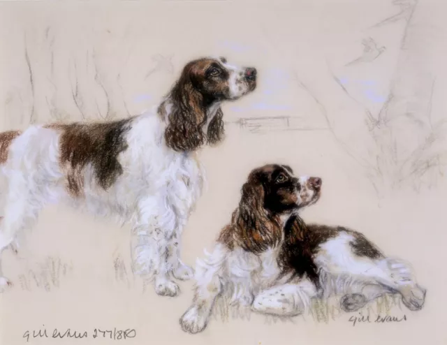 ENGLISH SPRINGER SPANIEL ESS DOG ART LIMITED EDITION PRINT - Brace of Gundogs