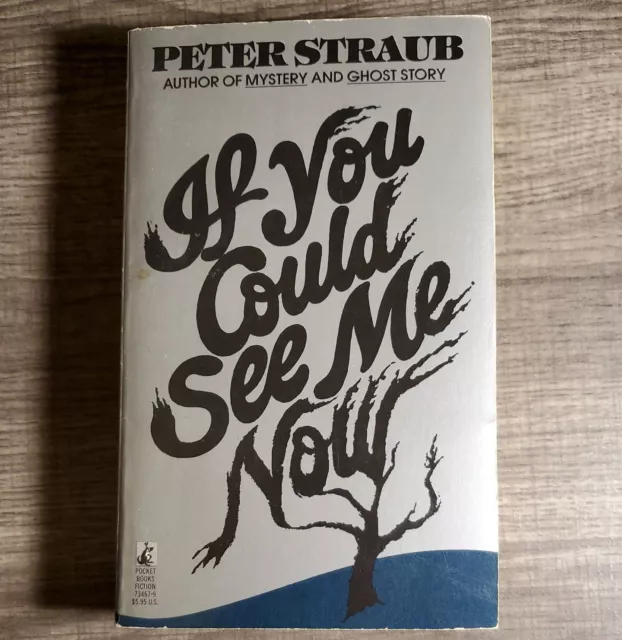 If You Could See Me Now by Peter Straub 1979 Vintage Paperback Pocket 1st Print