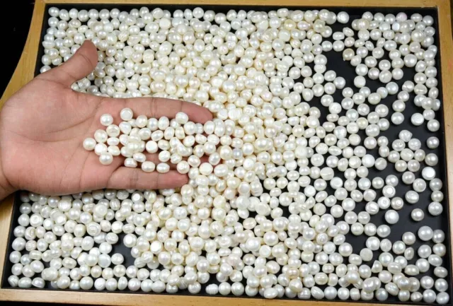 500 Ct Australian White Pearl Loose Gemstone Lot Natural Round Cut Certified