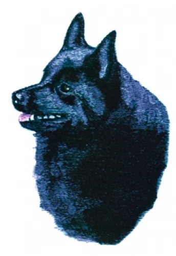 Embroidered Fleece Jacket - Schipperke BT4541  Sizes S - XXL