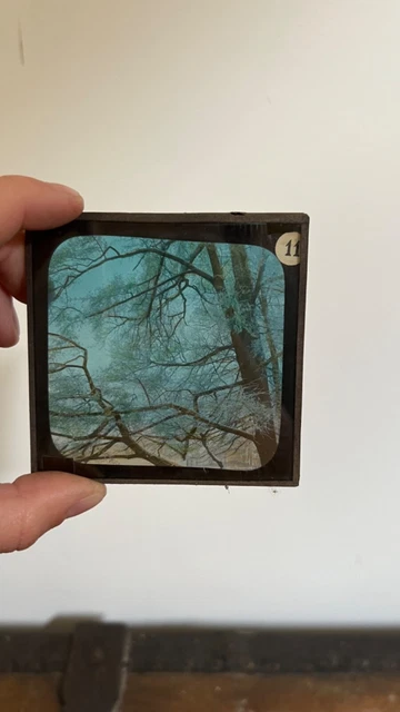 BOITE 12 PLAQUES de verre peintes LAPIERRE lanterne Magique