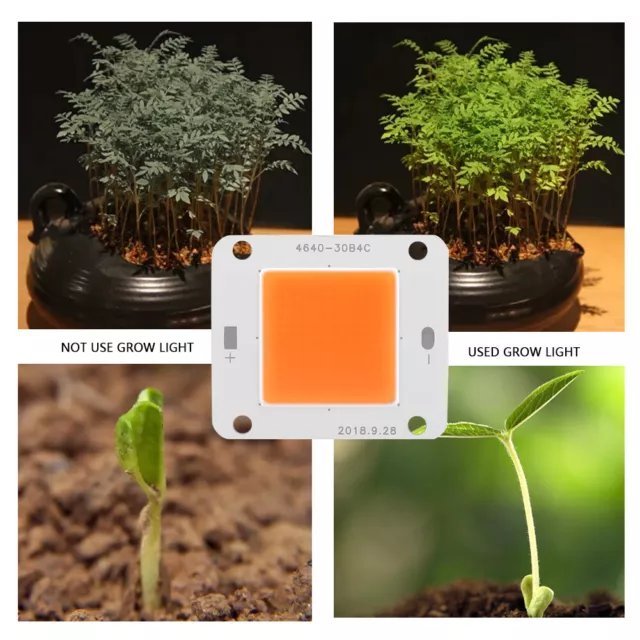 DC12V 50W COB LED Chip Full Spectrum Plant Grow Lamp Light Source 3