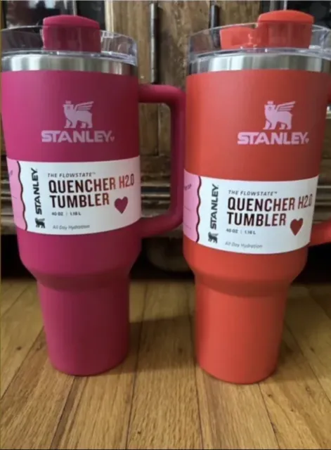 Stanley 20 oz Stainless Steel 2-piece Quencher Tumblers Pink Vibes White  Barbie
