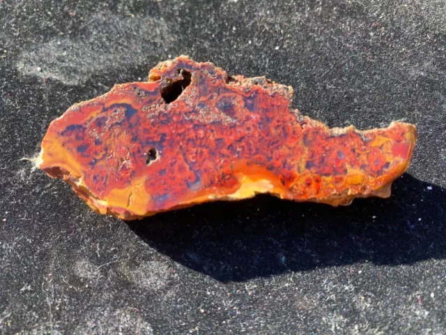 Very Rare Red Plume Agate with Yellow  Jasper from Sardinia,Italy