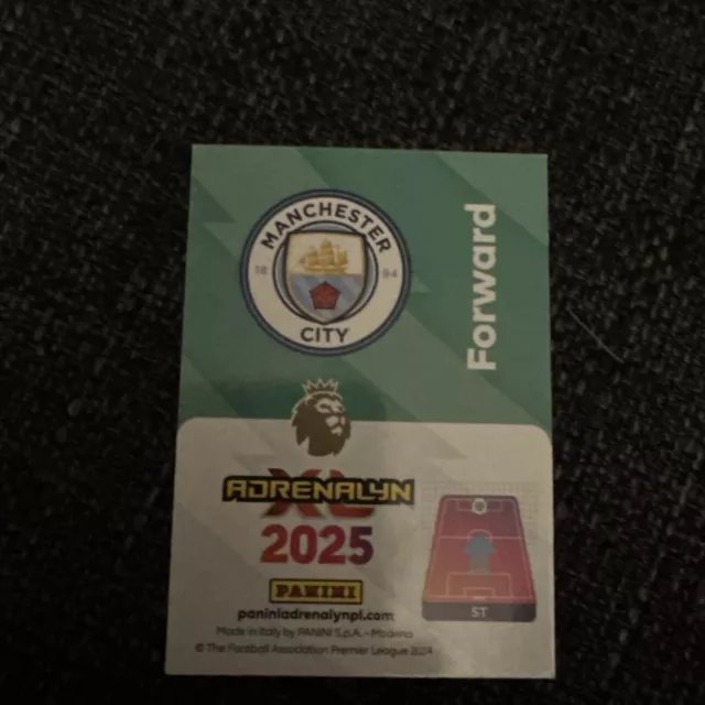 PANINI ADRENALYN XL Premier League 2025 20242025 24/25 Foil Cards 462