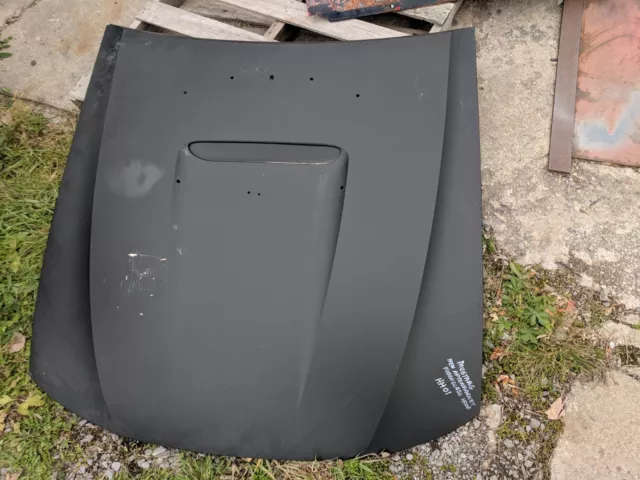 New Fiberglass Hood 1999 Ford Mustang With Scoop (Hh01)