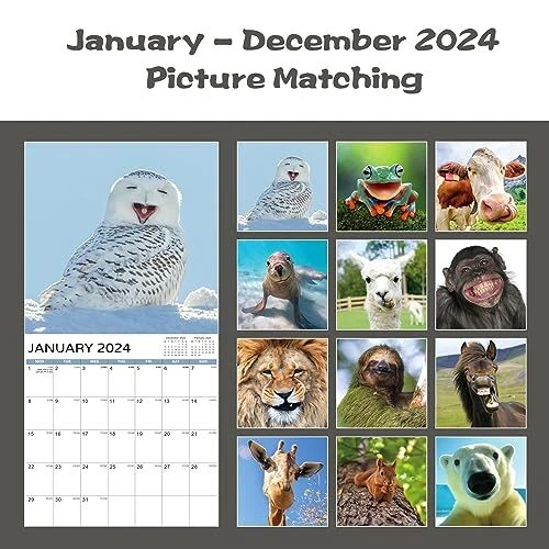CALENDAR 2024 Wall Calendar 2024 Animal Selfies, from January 2024 to