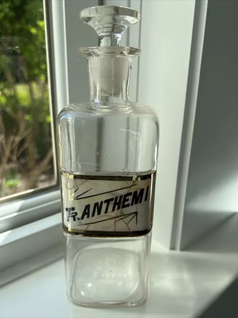 Vtg Antique Pharmacy Clear Glass Label Apothecary Jar Bottle Tr. Anthemi 1889