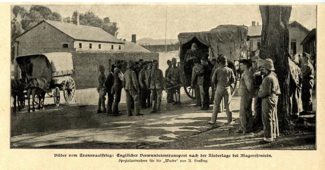 Transvaalkrieg* Englischer Verwundetentransport Magersfontein Bilddokument 1900