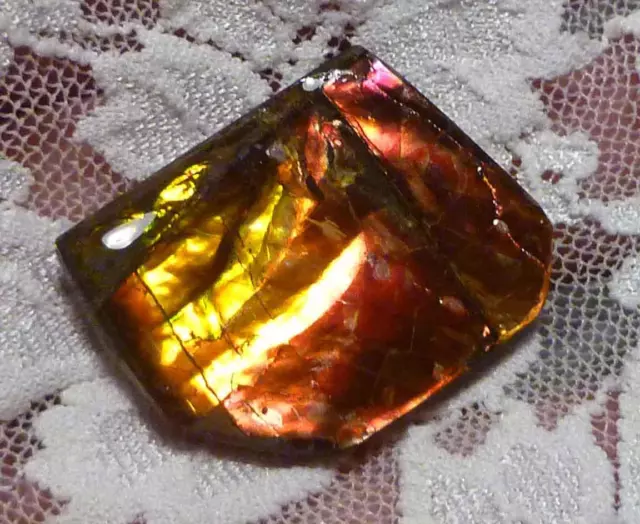 29 carats! Red to Green Change AMMOLITE Finished Gemstone 29x23mm