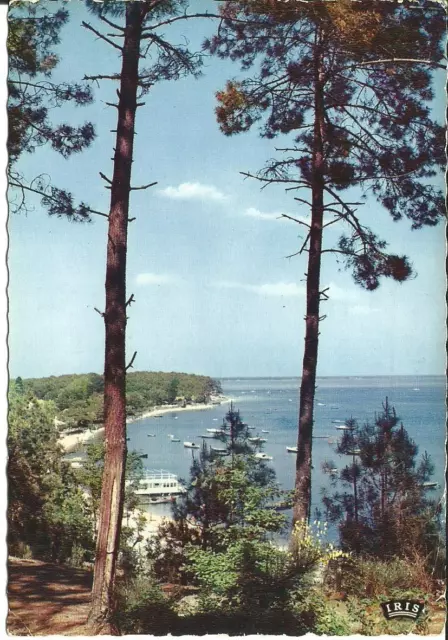 ARCACHON (33) - Vue sur la pointe aux Chevaux, GRAND PIQUEY #soutienukraine