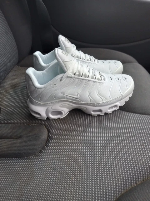 tn size 5.5