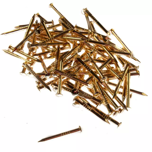 15mm - 5/8" Escutcheon Pins 40grams - Electro Brassed  | Thunderfix