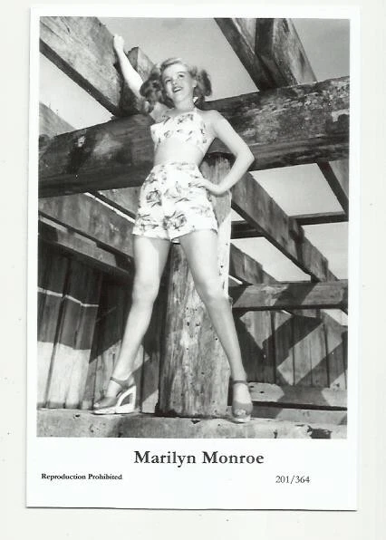 (Bx21) Marilyn Monroe Photo Card (201/364) Filmstar  Pin Up Glamour Girl