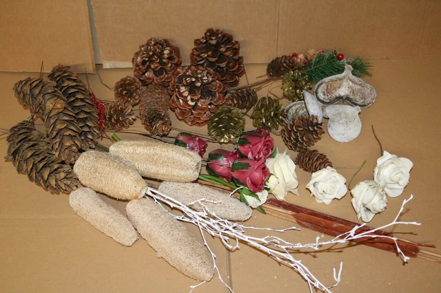 Colección de artículos decorativos conos pino flores plantas cañas exóticas
