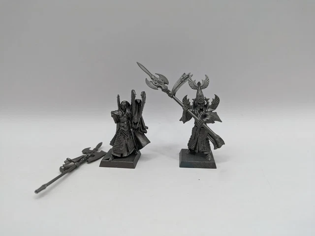 Warhammer Fantasy/Old World: High Elves Captain Caradryan of the Pheonix Guard (