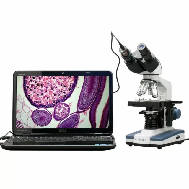 AmScope 40X-2500X LED Digital Fernglas Verbindung Mikroskop, 3D Stage USB Kamera