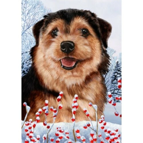 Winter House Flag - Black and Tan Norfolk Terrier 15225