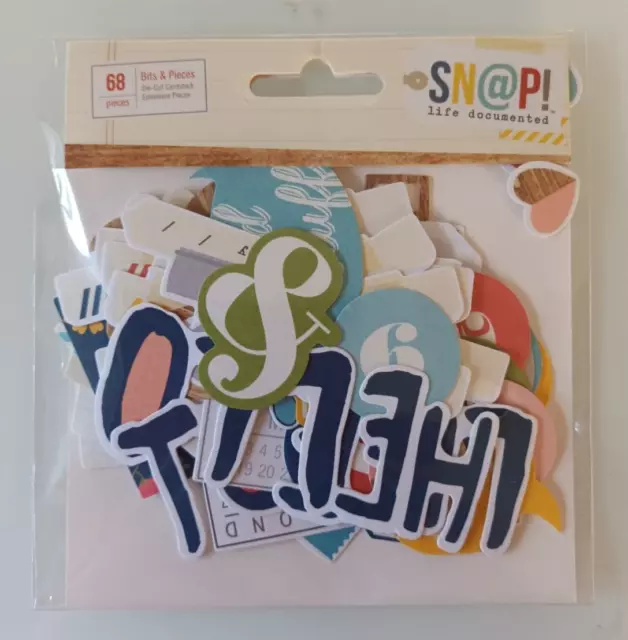 SN@P Brocas y Piezas de Cardstock Troquelados Efímeros - *Nuevo*