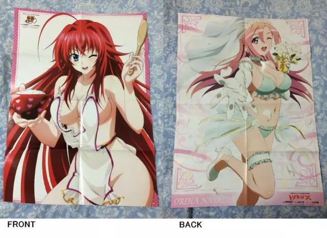 High School DXD Anime Premium POSTER MADE IN USA - HSD003