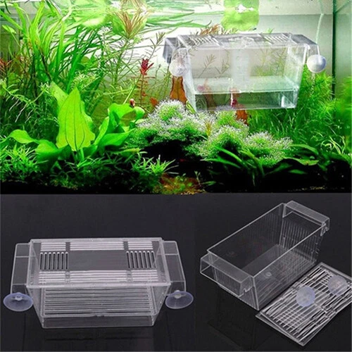 Aquarium Fish Breeding Box Fry Trap-Hatchery Floating Breeder Isolation