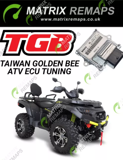 Tgb Blade 600 21 - 22 Performance Ecu Tuning Remap Upgrade Atv Taiwan Golden Bee