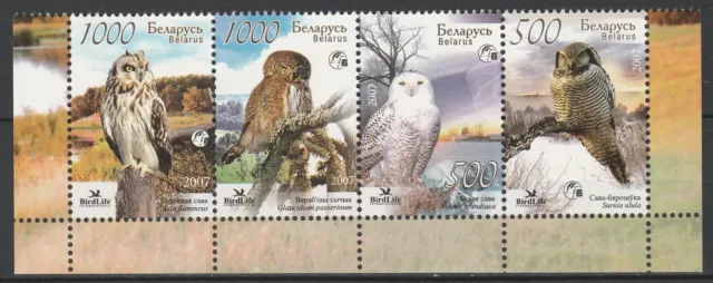 Belarus 2007 Birds, Owls 4 MNH stamps