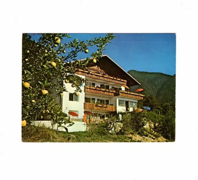 AK Ansichtskarte Schenna bei Meran / Südtirol / Pension "Graf Hartwig" - 1972