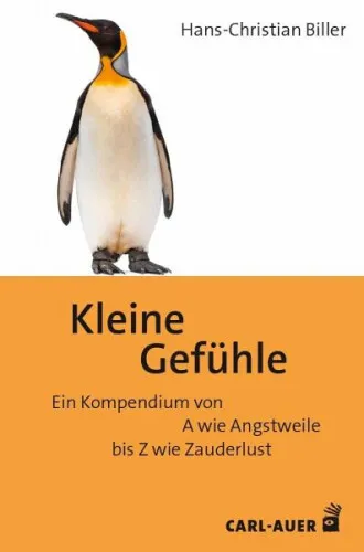 Kleine Gefühle|Hans-Christian Biller|Broschiertes Buch|Deutsch
