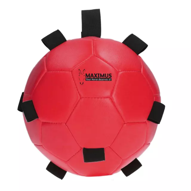 Pferd/Pony Spaß Spielball stabil/Feldspielzeug - ideale Lösung für Langeweile