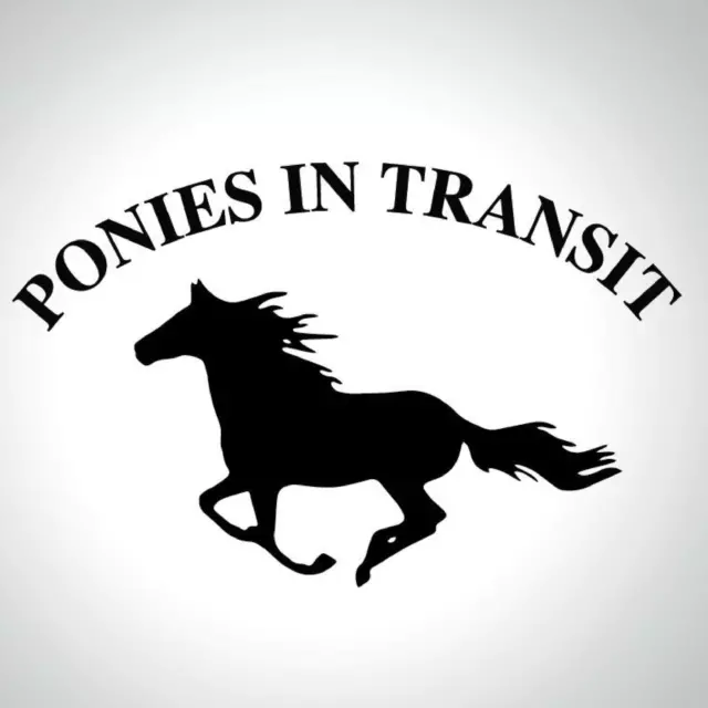 PONIES IN TRANSIT -  Equestrian Horsebox Trailer Vinyl Lettering Sticker Decal 2