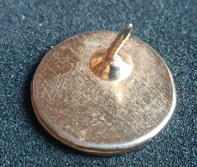 SPILLA PINS DISTINTIVO Stemma Simbolo Badge Logo Bologna Turismo Bandiera Flag EUR 5,55 - Foto 6