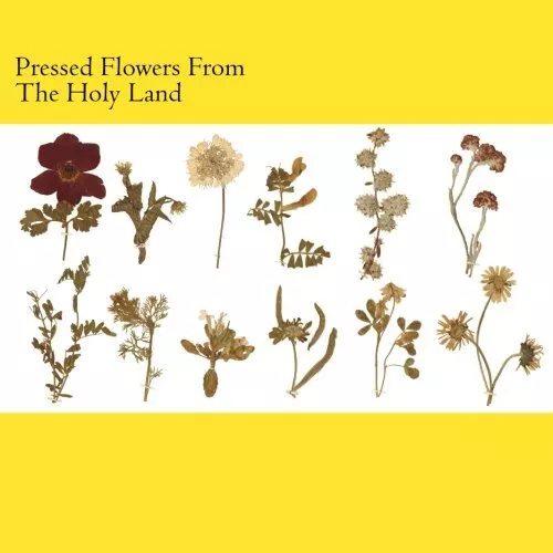 Pressed Flowers From The Holy Land