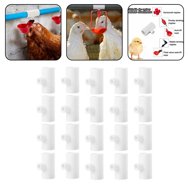 Set Mangiatoia E Abbeveratoio Per Pulcini - 1L E 1.5L, Verde, Materiale Eco - Foto 4