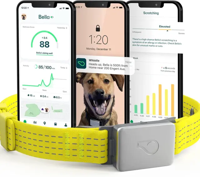 GPS + Health + Fitness - Smart Dog Collar, Waterproof Dog GPS Tracker plus Healt