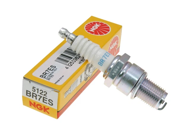 Candela accensione NGK bm6a su Petrol Motor