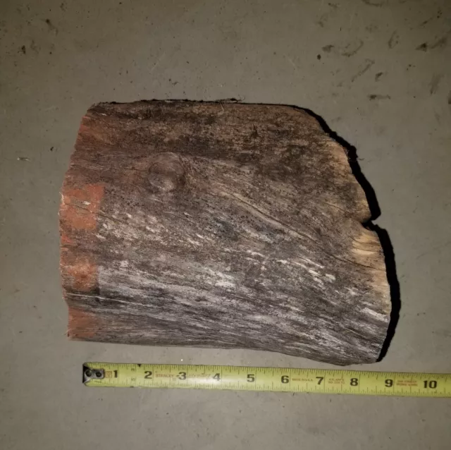 Trozo Manzanita para tornear torno carpintería talla recorte