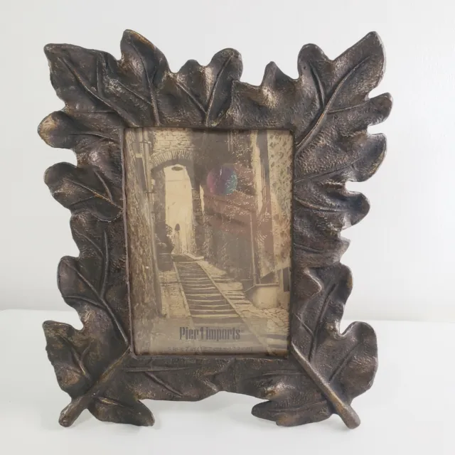 Pier 1 Imports Picture Frame 5x7 Leaves Brown Metal Mission Cabin Organic Nature