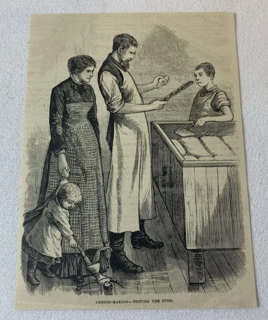 1880 magazine engraving ~ CHEESE MAKING - TESTING THE CURD