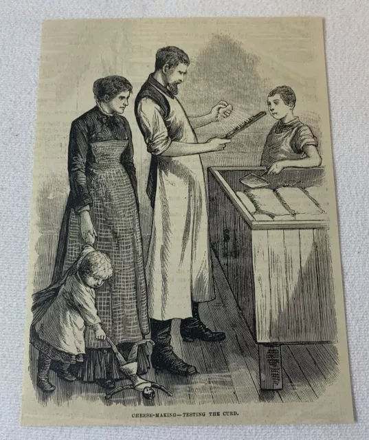 1880 magazine engraving ~ CHEESE MAKING - TESTING THE CURD