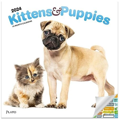 KITTENS & PUPPIES Calendar 2024 Deluxe 2024 Cats & Dogs Wall Calendar