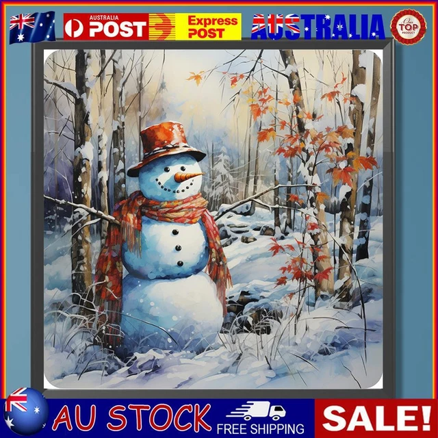 Paint By Numbers Kit DIY Oil Art Snowy Land Picture Home Wall Decor 40x40cm