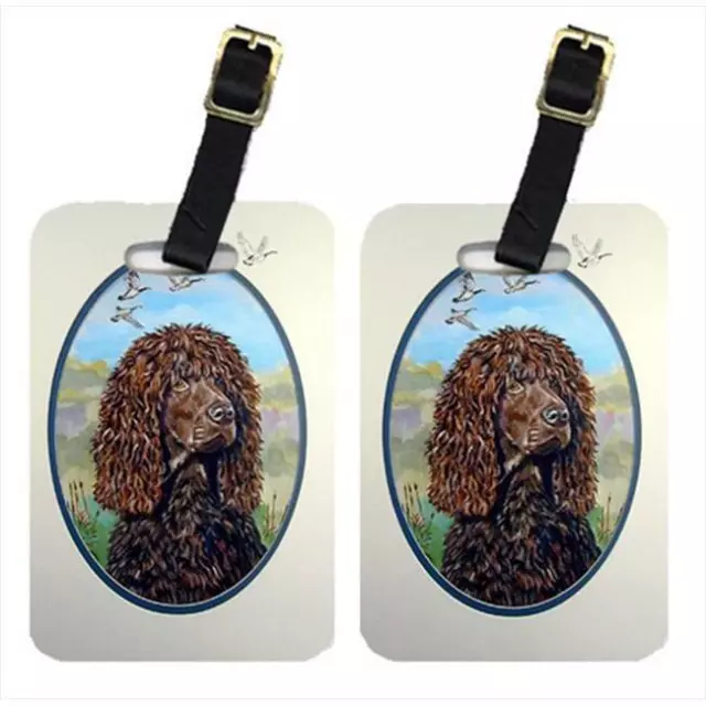 Carolines Treasures 7089BT Irish Water Spaniel Luggage Tags- Pack - 2