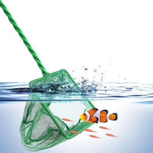 Aquarium Fish Tank Quick Net Catch Fish Aquarium Tank Sizes