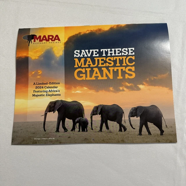 2024 MARA ELEPHANT Project Save the Gentle Giants 2024 Wall