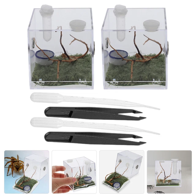 2 Sets Boîte De Réservoir Terrarium Araignée Mini-terrarium Récipient